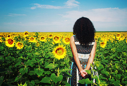 ddos在线攻击平台